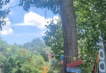 “D FESTIVAL“ JA VRAḰA FESTIVALSKATA ENERGIJA VO ŠTIP – NAD 80 ARTISTI, BESPLATEN VLEZ I TRI DENA MUZIČKA EUFORIJA