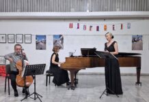 STRUMICA DESET DENA PULSIRA VO RITAMOT NA KLASIČNATA MUZIKA